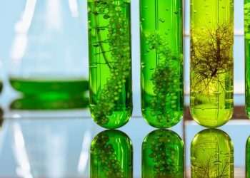 Vale admite dificuldade com eletrificação da frota e aposta em etanol, diesel verde e amônia verde