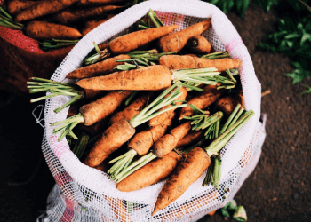 Mais de 90% do desperdício alimentar ocorre durante a cadeia produtiva