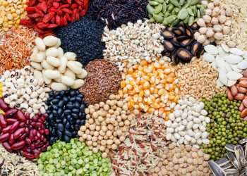 Conab: produção de grãos é estimada em 320,1 milhões de toneladas