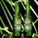 Heineken facilita acesso à energia renovável para residências, bares e restaurantes