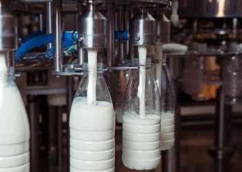 Abraleite pede a governo medidas estruturantes para frear crise do setor de lácteos