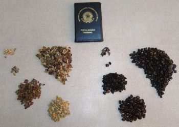 Café: Agricultura recolhe oito lotes de produtos irregulares