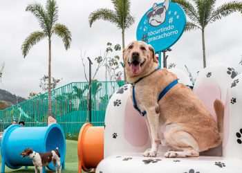 Shoppings devem atrair famílias com filhos de todos os tipos. Inclusive os de quatro patas