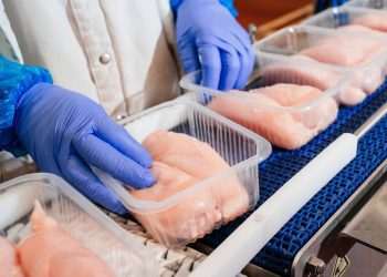 Argélia abre mercado para carne de frango brasileira