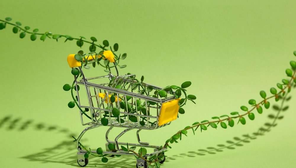 Consumidores sustentáveis voltam a crescer na América Latina após dois anos de queda