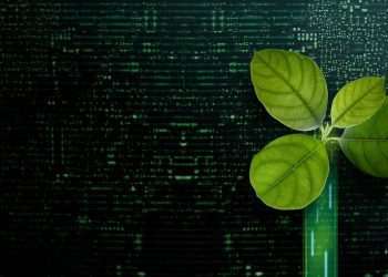 Consumidor sustentável pode fazer a diferença no futuro do mercado