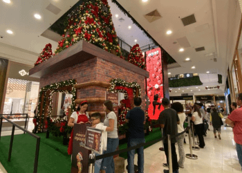 Tortuguita invade o Shopping Santa Cruz com experiências interativas
