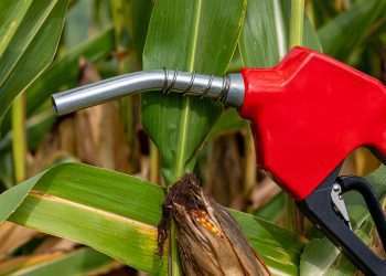 Neomille recebe autorização da ANP para iniciar produção de etanol na nova fábrica em Maracaju (MS)