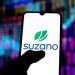Suzano compra ativos florestais de subsidiária do BTG por R$ 1,8 bilhão