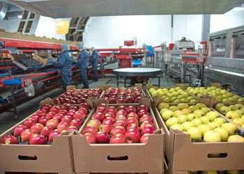 Plano industrial prevê subsídios e compra de produtos nacionais