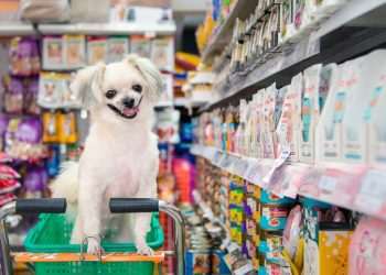 Mercado pet possui 63 milhões de consumidores em potencial nas classes C, D e E