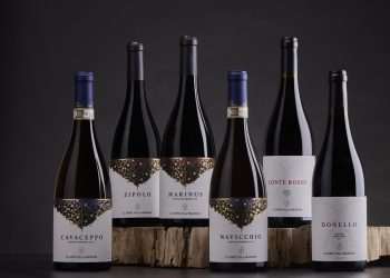 Domno Wines agrega mais três vinícolas italianas ao portfólio