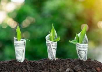 B4 e a estratégia de gerar ganhos para as empresas de olho na sustentabilidade