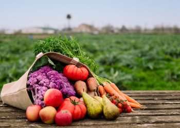 Alimentação sustentável: entre a teoria e a prática, um chamado para atitudes conscientes