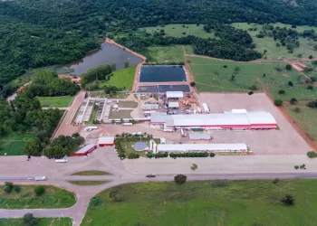 Plena Alimentos investe R$ 24 milhões em armazenagem e logística