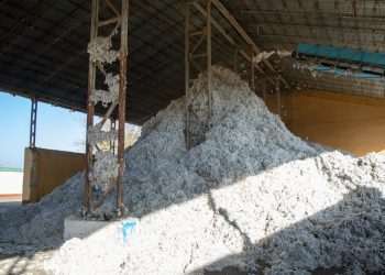 ONG diz que algodão de roupas da Zara e H&M pode ser fruto de desmatamento no Brasil