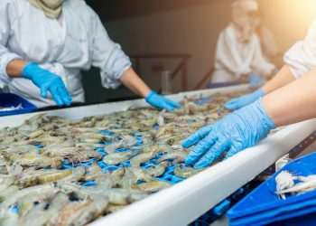 Coreia do Sul abre mercado para produtos brasileiros à base de camarão