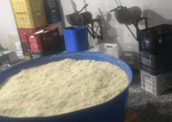 Operação apreende cerca de 20 toneladas de queijos em Minas Gerais