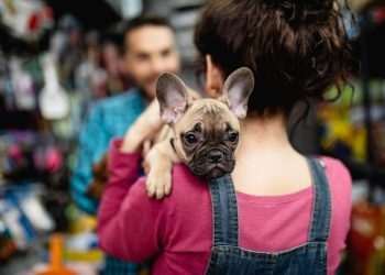 Nestlé Purina seleciona startup brasileira para seu programa de inovação no setor pet