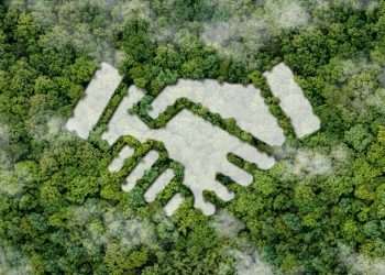 Líderes concordam que a sustentabilidade é central para suas estratégias de negócios