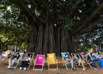 Parque do Ibirapuera ensina como turbinar resultados com patrocínios e ativações de marcas