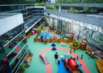 Morumbi Town mira tutores de pets e ajusta estratégia de marketing personalizado