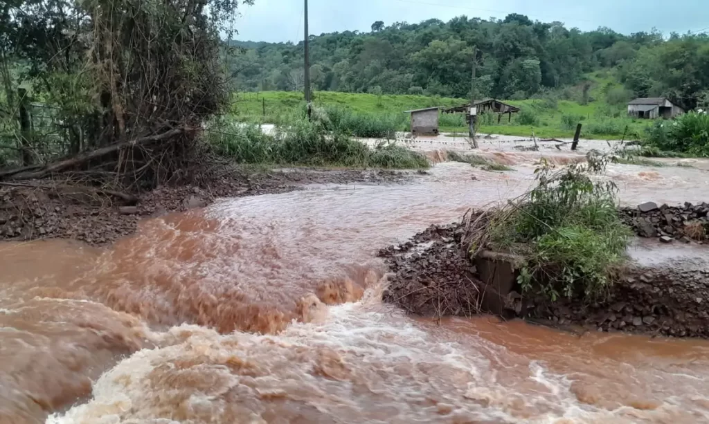 Criadores estimam perda de R$ 40 milhões no RS com morte de suínos e danos a propriedades