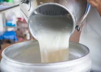 Captação de leite é retomada em parte do Rio Grande do Sul, diz Sindilat