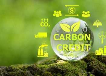 Senado analisa projeto de lei do mercado de crédito de carbono nesta terça-feira