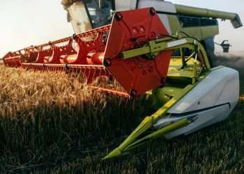 vão para além de produtos manufaturados