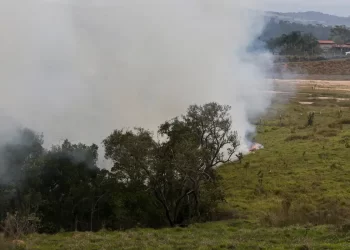 Incêndios em SP devem afetar preços do açúcar e do etanol, diz CEO da Orplana