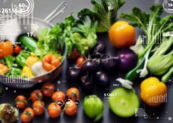 Foodservice reinventado: inovação e sustentabilidade na era digital