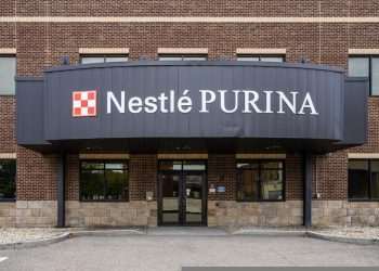 Nestlé abre inscrições para programa global de aceleração de startups de pet tech da Purina