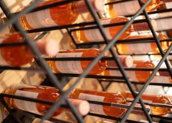 Grupo Wine lança e-commerce exclusivo para o mercado B2B para ampliar distribuição de vinhos no Brasil