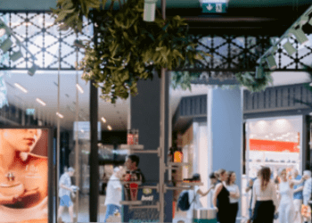 imagem_2024-10-30_120359878