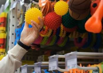 Compras por impulso representam 41% das vendas de produtos para pets