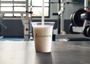 Yogoberry lança novas opções de frozen yogurt à base de Whey Protein