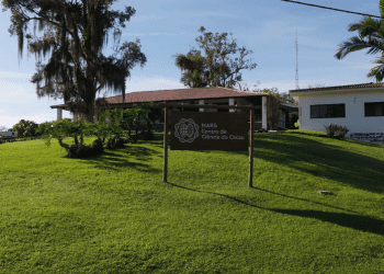 Mars Wrigley promove a sustentabilidade na indústria do cacau com novo patrocínio