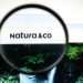 Natura fecha acordo com credores quirografários no processo da Avon de Chapter 11