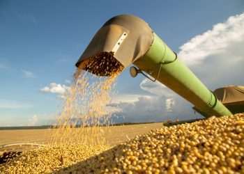 Governo nomeia 11 novos adidos agrícolas do Brasil no exterior