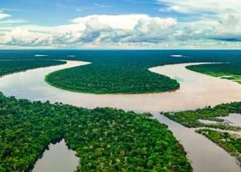 Lula edita decreto que cria Programa Selo Amazônia para certificação de serviços e produtos