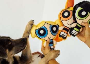 Em novo licenciamento, Petiko lança coleção de produtos pet de olho na nostalgia dos consumidores