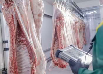 China inicia investigação que pode limitar importação de carne para proteger produção local