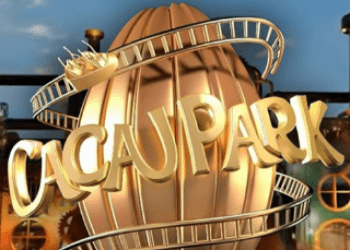 imagem_2024-12-03_112315172