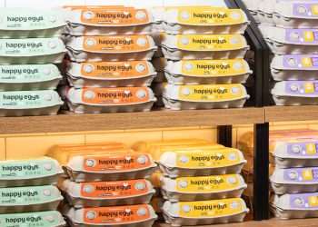 Mantiqueira e JBS se juntam mirando criar a maior plataforma de ovos do mundo