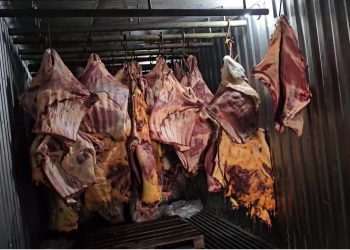 Suspeitos de vender carne estragada têm prisão preventiva decretada