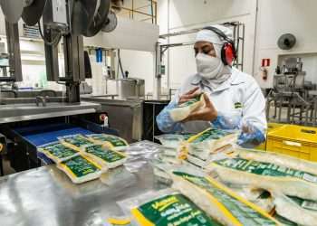 Vapza investe R$ 10 milhões mirando crescimento no Brasil e no exterior