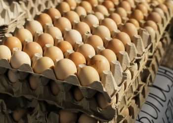 Governo volta atrás e revoga exigência de carimbo em ovos vendidos ao consumidor