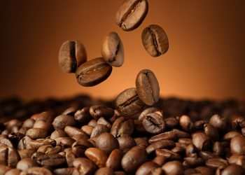 Grupo Montesanto Tavares pede recuperação judicial com dívidas de R$ 2,13 bilhões