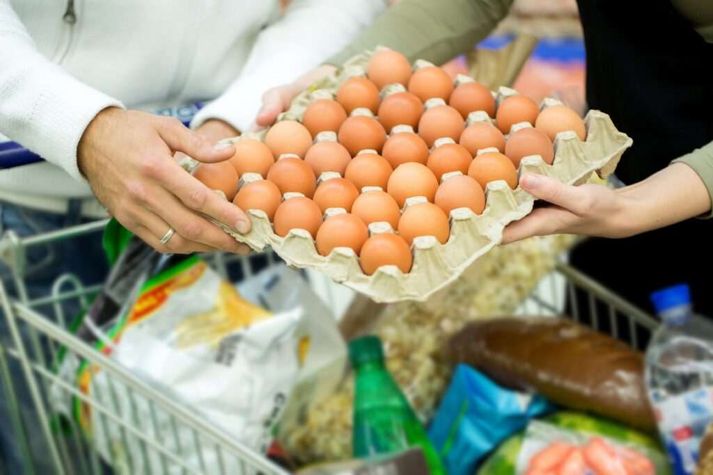 Preço do ovo tem alta de 26,7% na região Sudeste, aponta a Neogrid